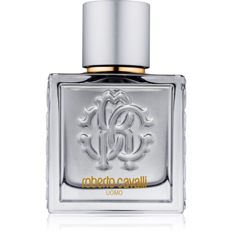 

Roberto Cavalli Uomo Silver Essence туалетна вода для чоловіків