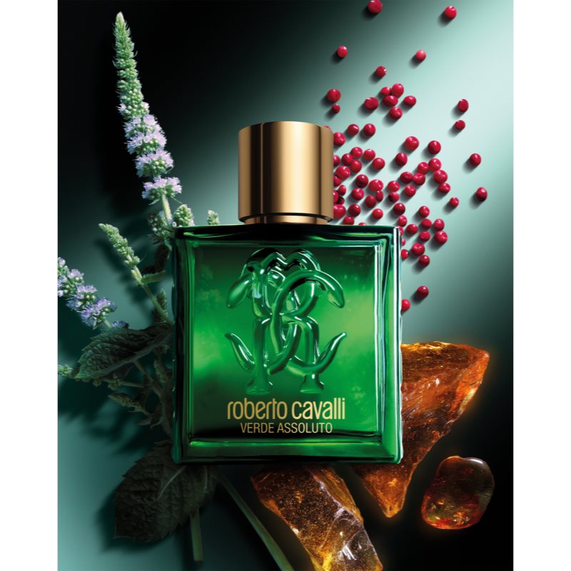 Roberto Cavalli Uomo Verde Assoluto parfémovaná voda pro muže 100 ml (obrázek 5)