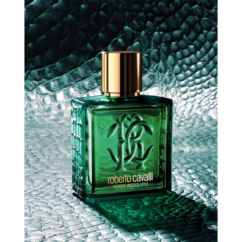 Roberto Cavalli Uomo Verde Assoluto parfémovaná voda pro muže 100 ml (obrázek 6)
