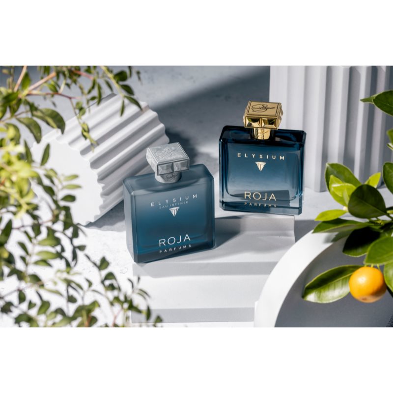 Roja Parfums Elysium Eau Intense Eau De Parfum Pour Homme 100 Ml