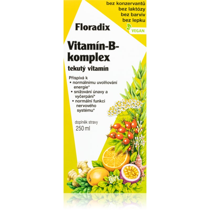 Salus Floradix Vitamín-B-komplex EKO balenie 250 ml