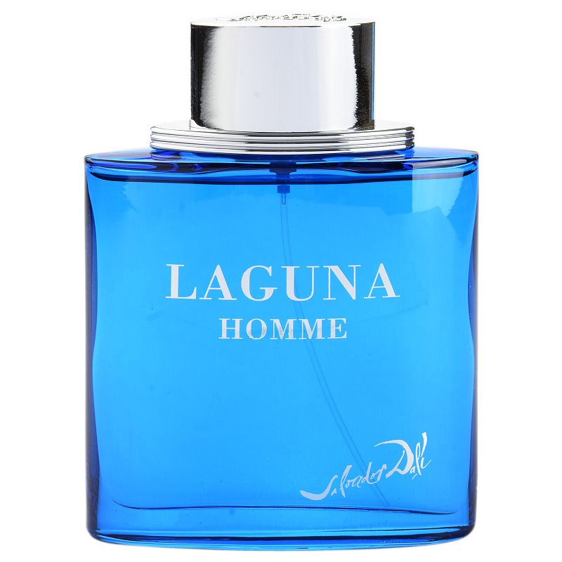 

Salvador Dali Laguna Homme туалетна вода для чоловіків