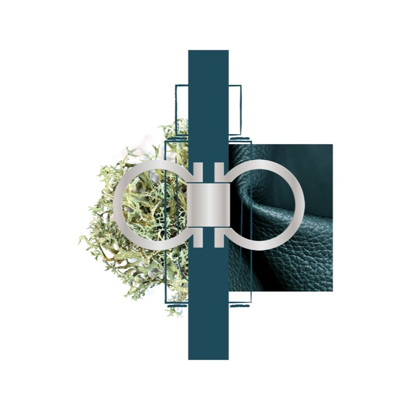 Ferragamo Ferragamo Intense Leather парфумована вода для чоловіків 30 мл