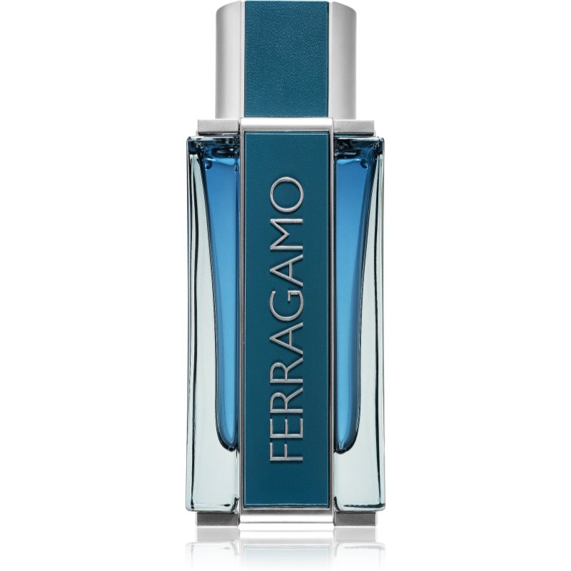 Salvatore Ferragamo Ferragamo Intense Leather parfumovaná voda pre mužov 100 ml
