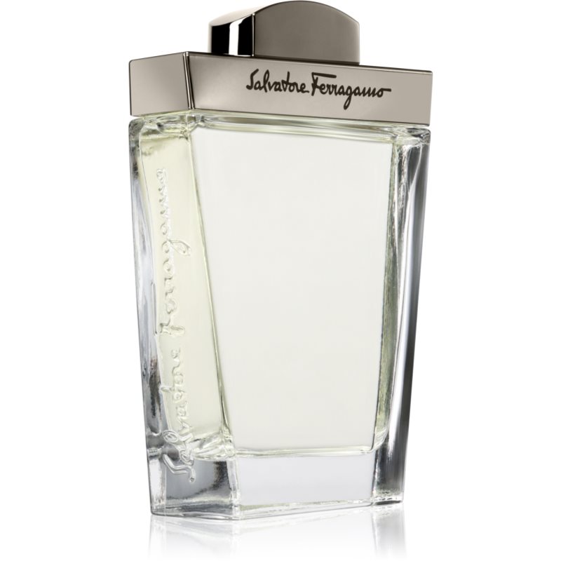 Ferragamo Pour Homme toaletná voda pre mužov 100 ml