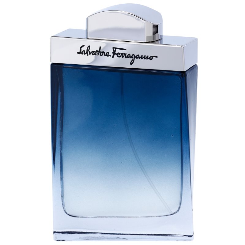 

Salvatore Ferragamo Subtil Pour Homme туалетна вода для чоловіків