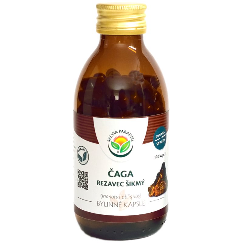 Salvia Paradise Čaga bylinné kapsuly kapsuly na detoxikáciu organizmu a podporu imunity 120 cps
