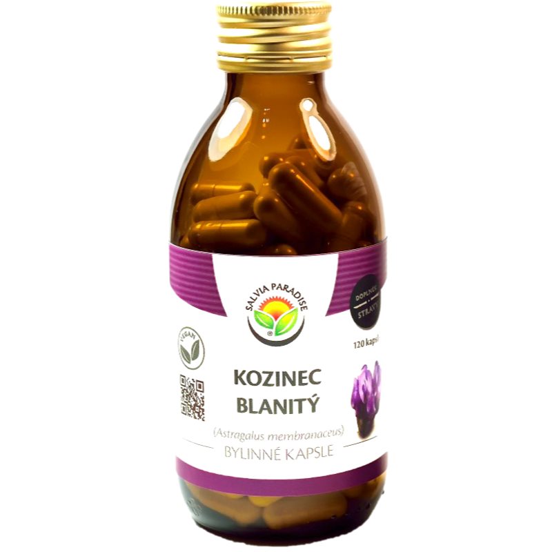 Salvia Paradise Kozia tráva krovinatá bylinné kapsle kapsuly na podporu imunitného systému 120 cps