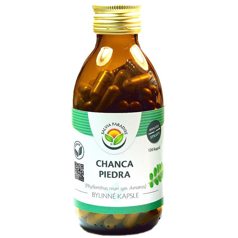 Salvia Paradise Chanca piedra bylinné kapsle kapsuly pre zdravie močových ciest 120 cps