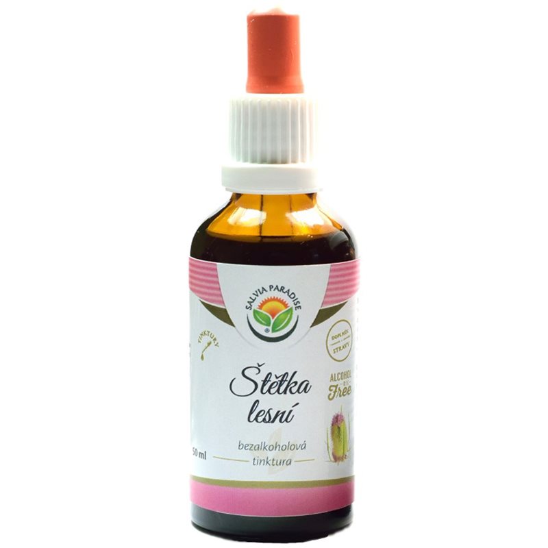 Salvia Paradise Štětka lesní bezalkoholová tinktura tinktura pro podporu imunitního systému 50 ml