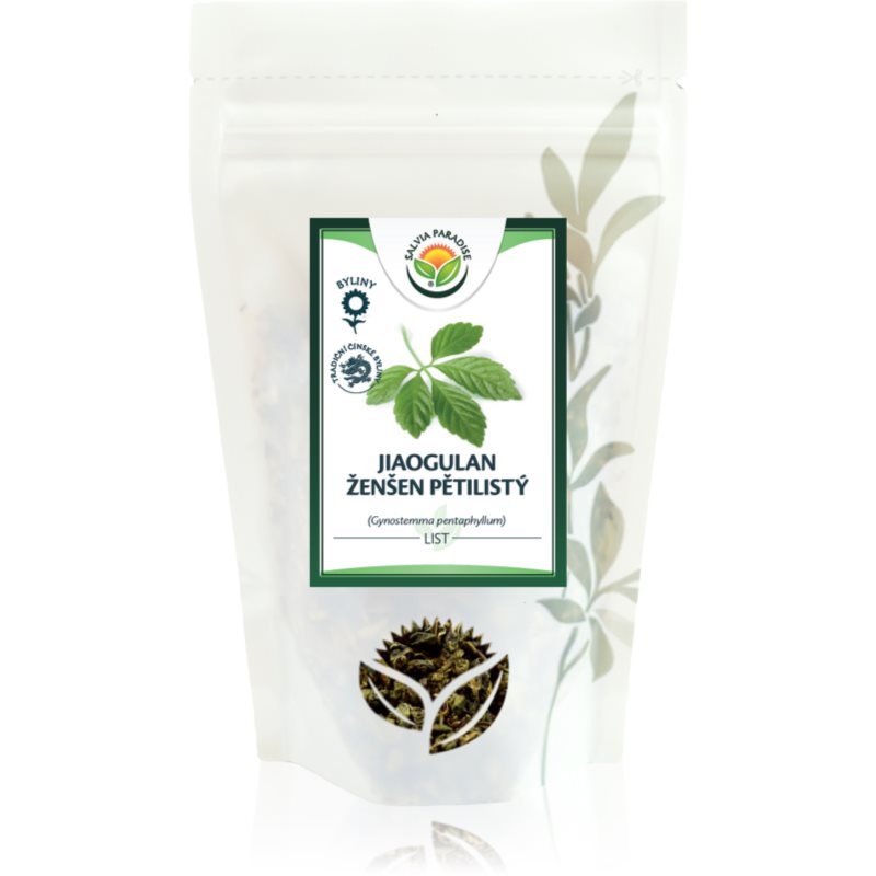 Salvia Paradise Jiaogulan přírodní antioxidant 100 g