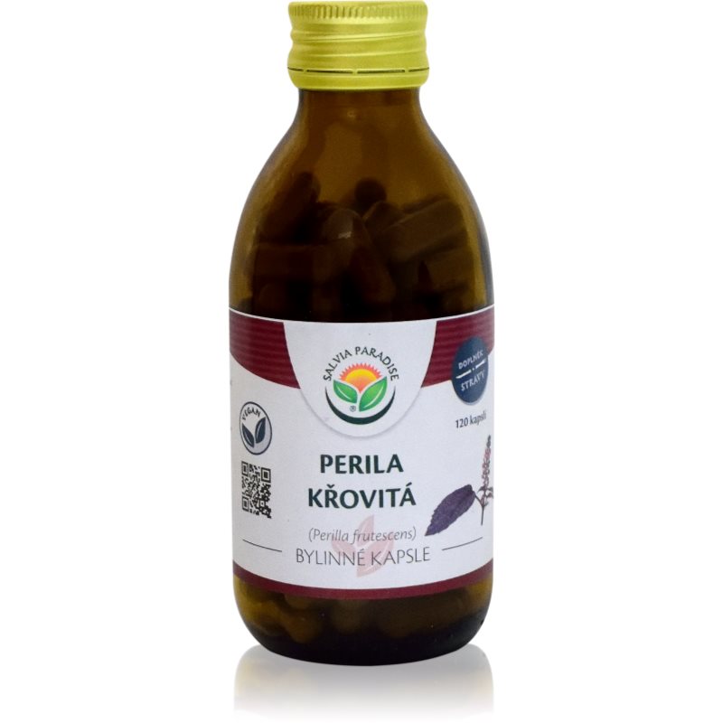 Salvia Paradise Perila Křovitá bylinné kapsle pro normální funkci dýchacího systému 120 cps