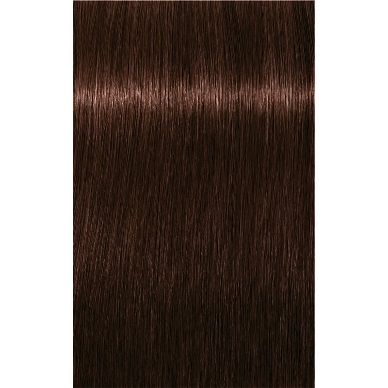Schwarzkopf Professional IGORA Royal Hair Colour Shade 4-68 Medium Brown Chocolate Red 60 Ml