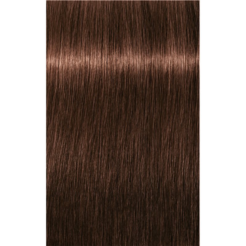 Schwarzkopf Professional IGORA Royal Hair Colour Shade 5-6 Light Brown Chocolate 60 Ml