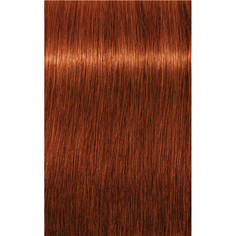 Schwarzkopf Professional IGORA Royal фарба для волосся відтінок 6-77 Dark Blonde Copper Extra 60 мл