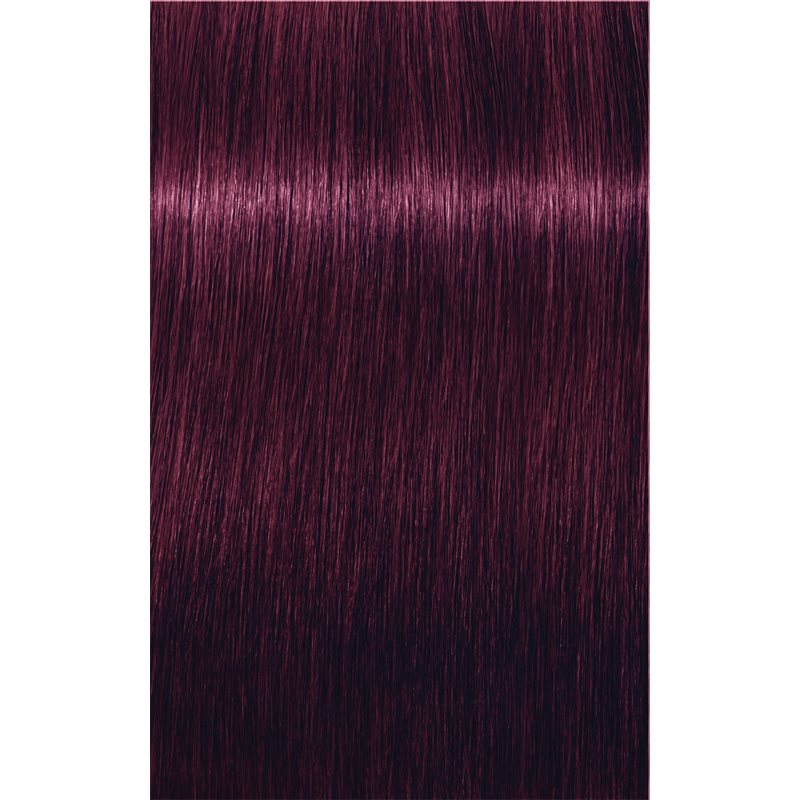 Schwarzkopf Professional IGORA Royal Hair Colour Shade 6-99 Dark Blonde Violet Extra 60 Ml