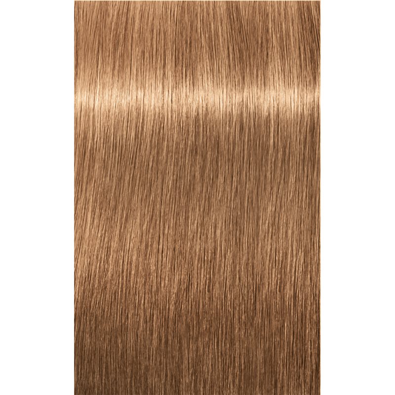 Schwarzkopf Professional IGORA Royal Hair Colour Shade 8-65 Light Blonde Chocolate Gold 60 Ml