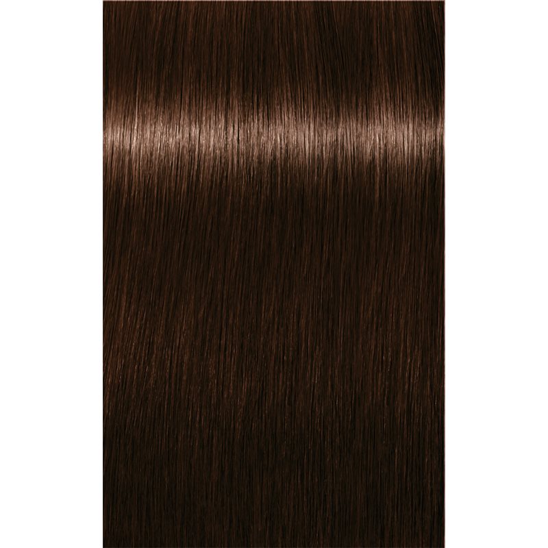Schwarzkopf Professional IGORA Royal Absolutes Haarfarbe Farbton 4-60 Medium Brown Chocolate Natural 60 ml
