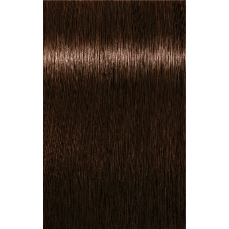 Schwarzkopf Professional IGORA Royal Absolutes фарба для волосся відтінок 4-60 Medium Brown Chocolate Natural 60 мл