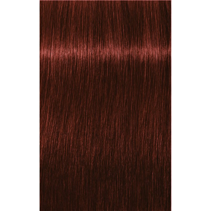 Schwarzkopf Professional IGORA Royal Absolutes Hair Colour Shade 5-80 Light Brown Red Natural 60 Ml