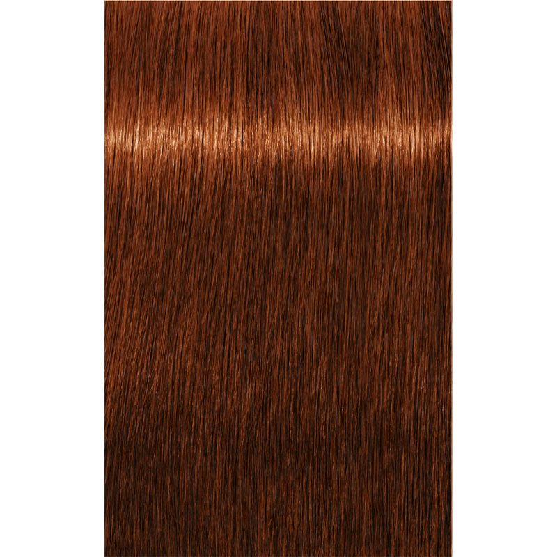 Schwarzkopf Professional IGORA Royal Absolutes фарба для волосся відтінок 6-70 Dark Blonde Copper Natural 60 мл