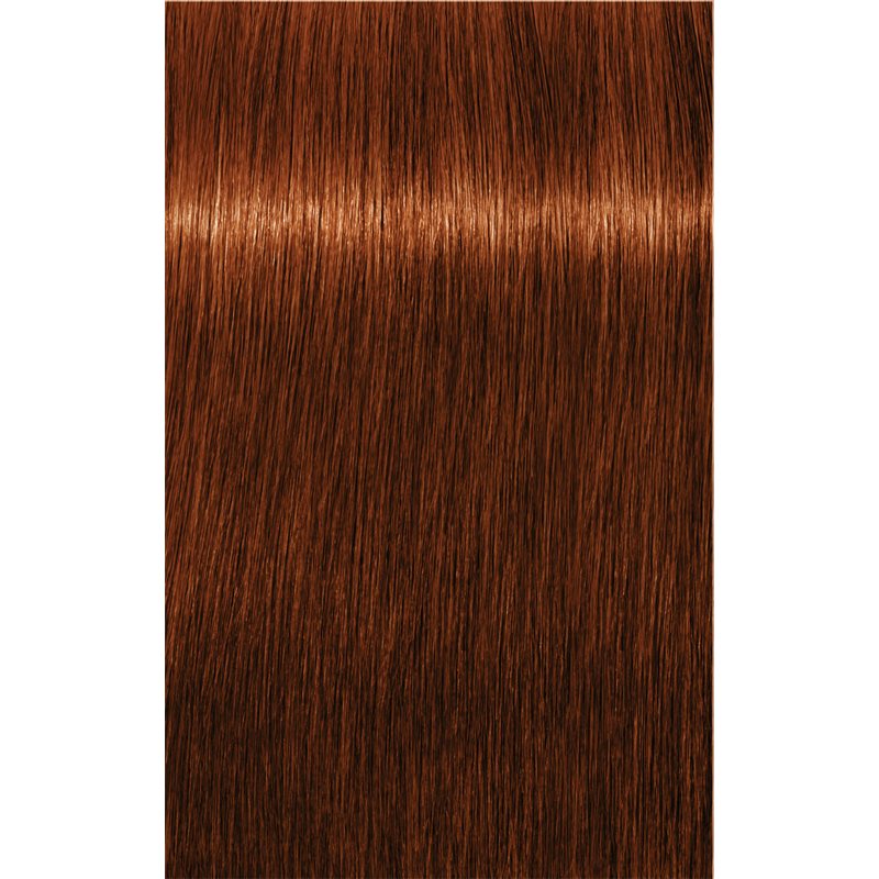 Schwarzkopf Professional IGORA Royal Absolutes Haarfarbe Farbton 6-70 Dark Blonde Copper Natural 60 ml