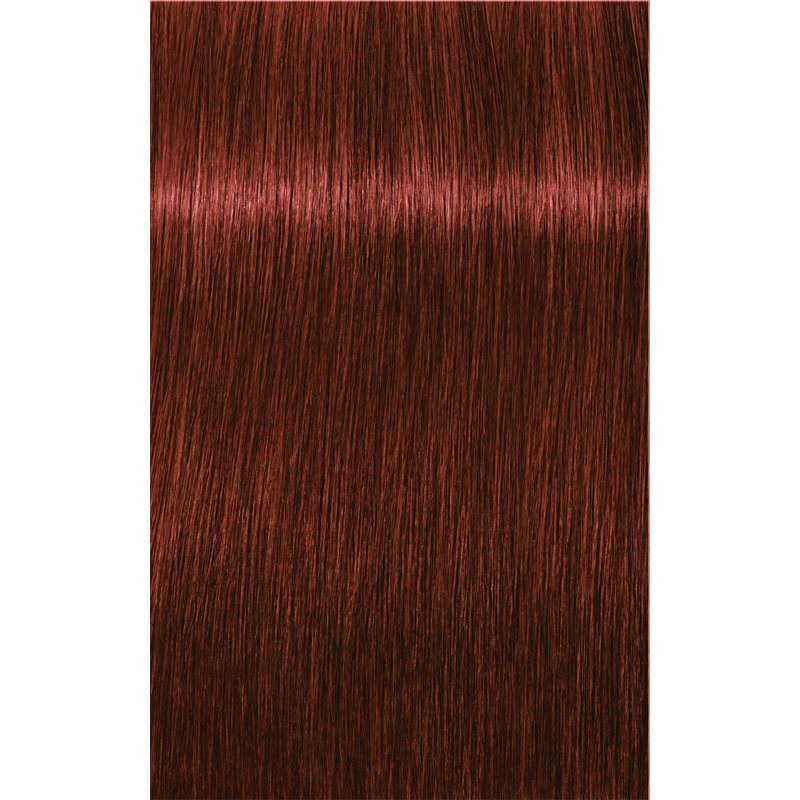 Schwarzkopf Professional IGORA Royal Absolutes Haarfarbe Farbton 6-80 Dark Blonde Red Natural 60 ml