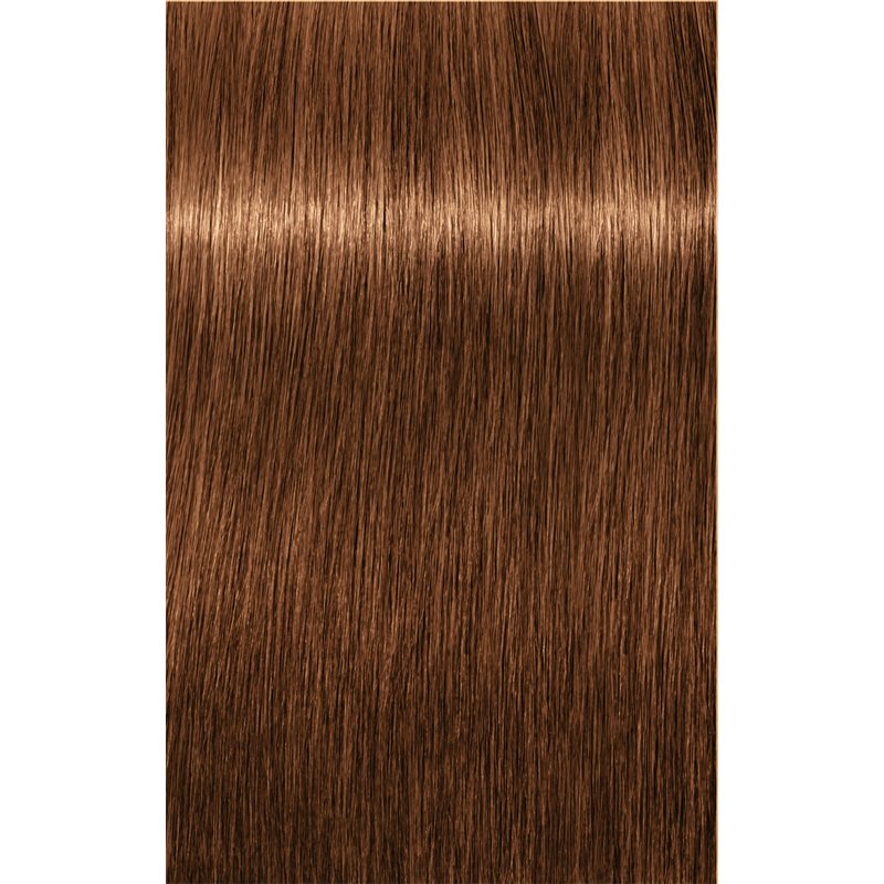 Schwarzkopf Professional IGORA Royal Absolutes Hair Colour Shade 7-60 Medium Blonde Chocolate Natural 60 Ml