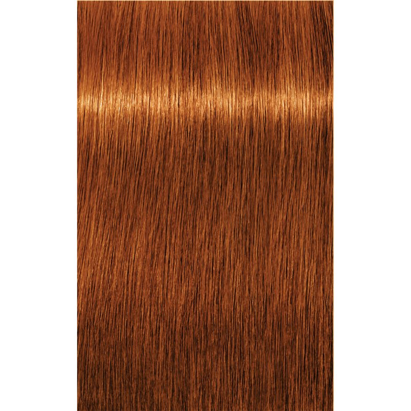 Schwarzkopf Professional IGORA Royal Absolutes Hair Colour Shade 7-70 Medium Blonde Copper Natural 60 Ml