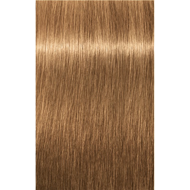 Schwarzkopf Professional IGORA Royal Absolutes фарба для волосся відтінок 8-50 Light Blonde Gold Natural 60 мл
