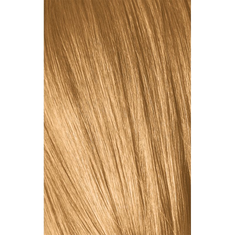 Schwarzkopf Professional IGORA Royal Absolutes Hair Colour Shade 9-50 Extra Light Blonde Gold Natural 60 Ml