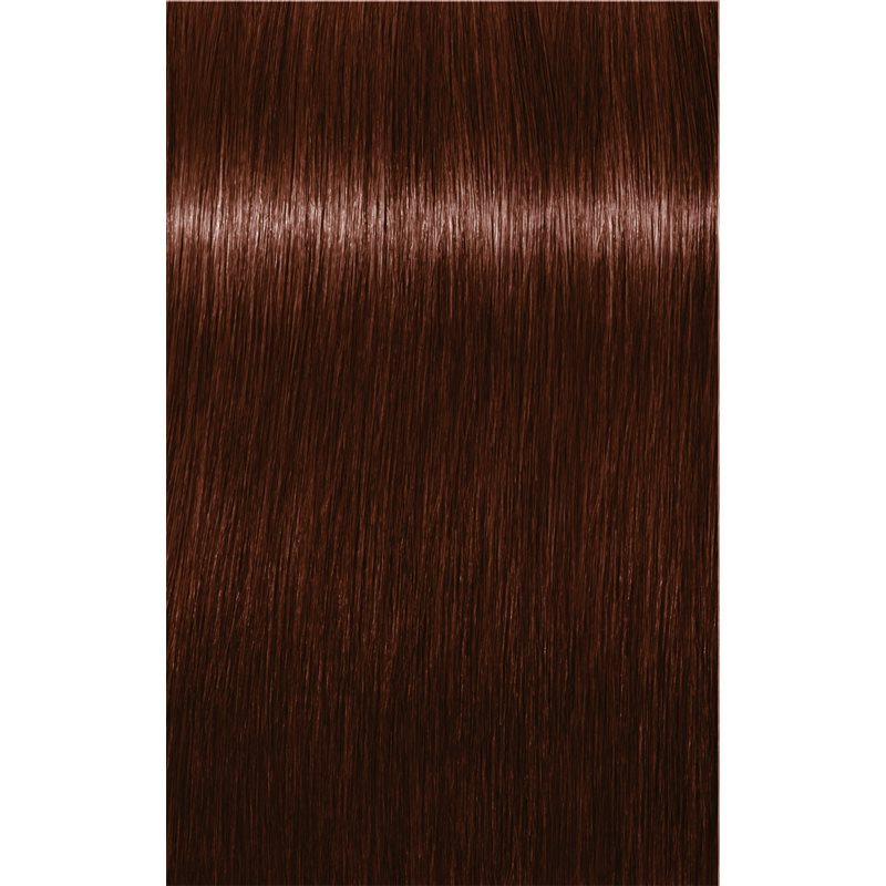 Schwarzkopf Professional IGORA Expert Mousse мус для фарбування для волосся відтінок 4-68 Medium Brown Chocolate Red 100 мл