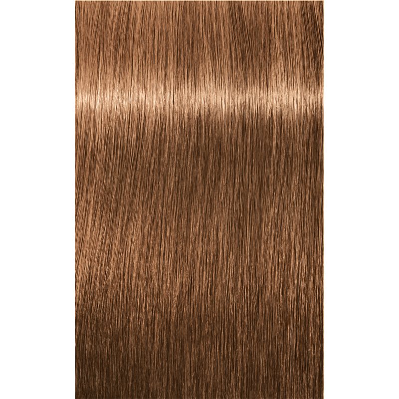 Schwarzkopf Professional IGORA Expert Mousse Mousse Colorante Pour Cheveux Teinte 7-65 Medium Blonde Chocolate Gold 100 Ml