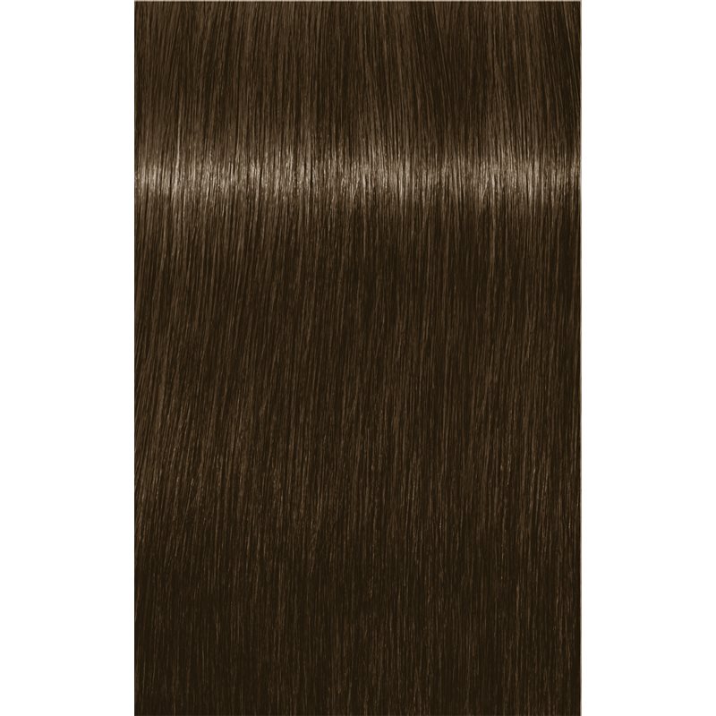 Schwarzkopf Professional IGORA Royal Hair Colour Shade 6-16 Dark Blonde Cendré Chocolate 60 Ml