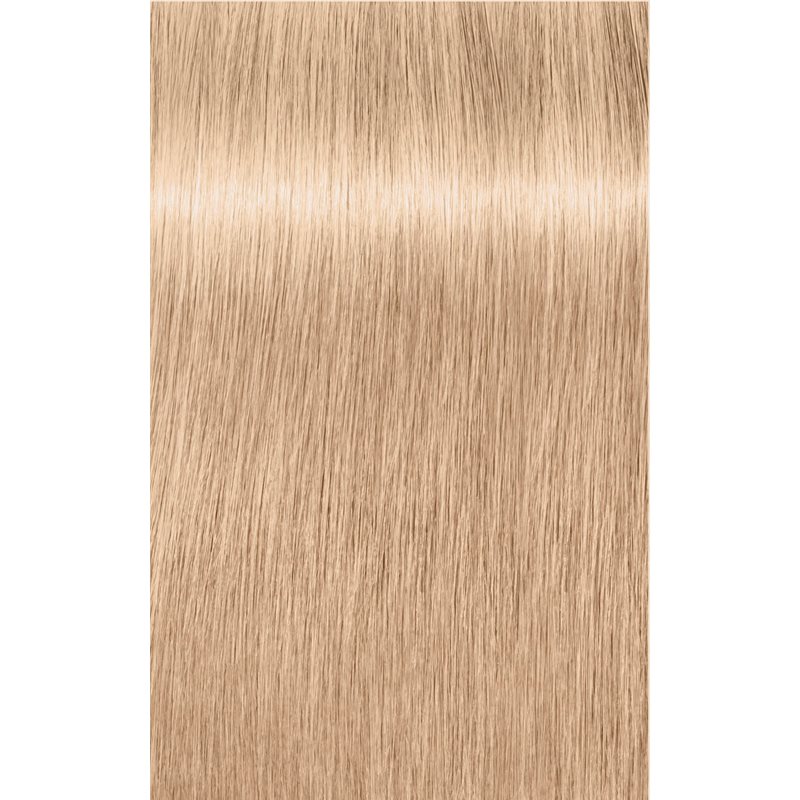 Schwarzkopf Professional IGORA Royal Highlifts Permanent Hair Dye Shade 10-19 Ultrablond Cendré Beige 60 Ml