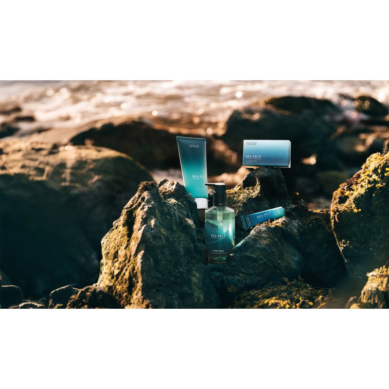 Scottish Fine Soaps Sea Kelp tělový krém 200 ml (obrázek 4)