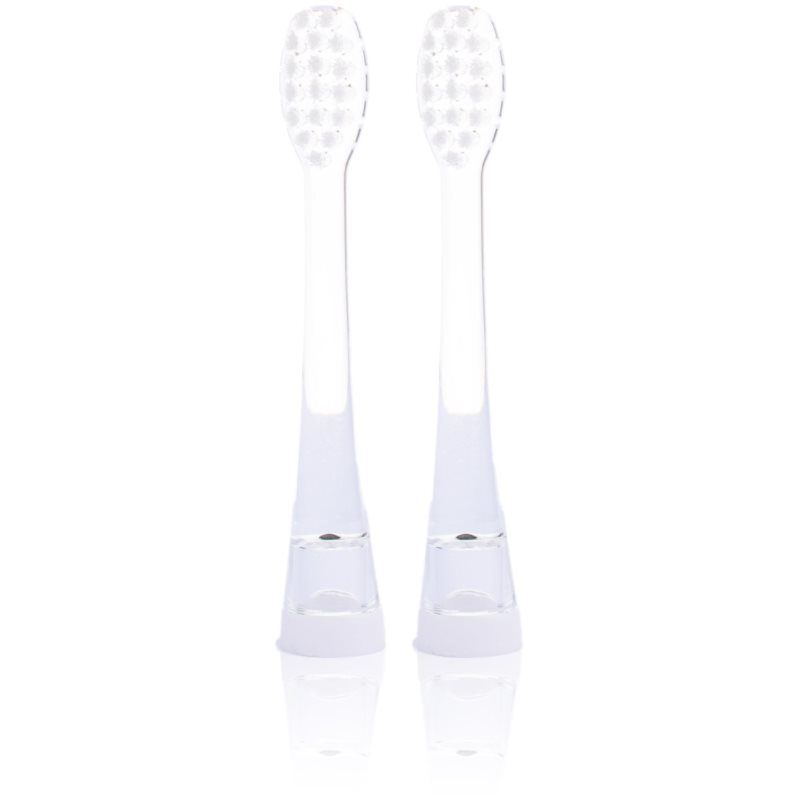 Seago Electric Brush Head For Kids SG-831 змінні головки для зубної щітки сумісний з SG-513 0-3y 2 кс