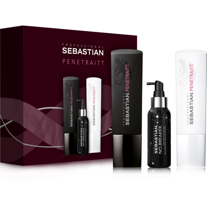 Sebastian Professional Penetraitt подарунковий набір (для пошкодженного,хімічним вливом, волосся)