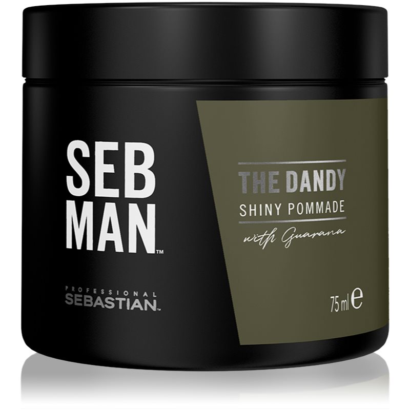 Sebastian Professional SEB MAN The Dandy Haarpomade für natürliche Fixation 75 ml