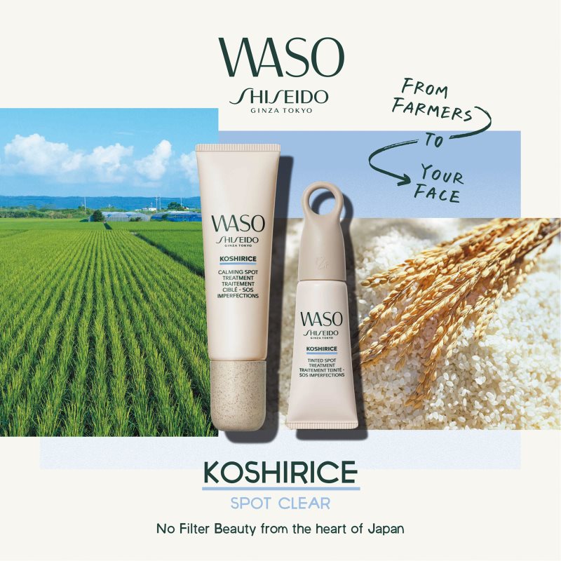 Shiseido Waso Koshirice Concealer For The Face Shade Natural Honey 8 Ml