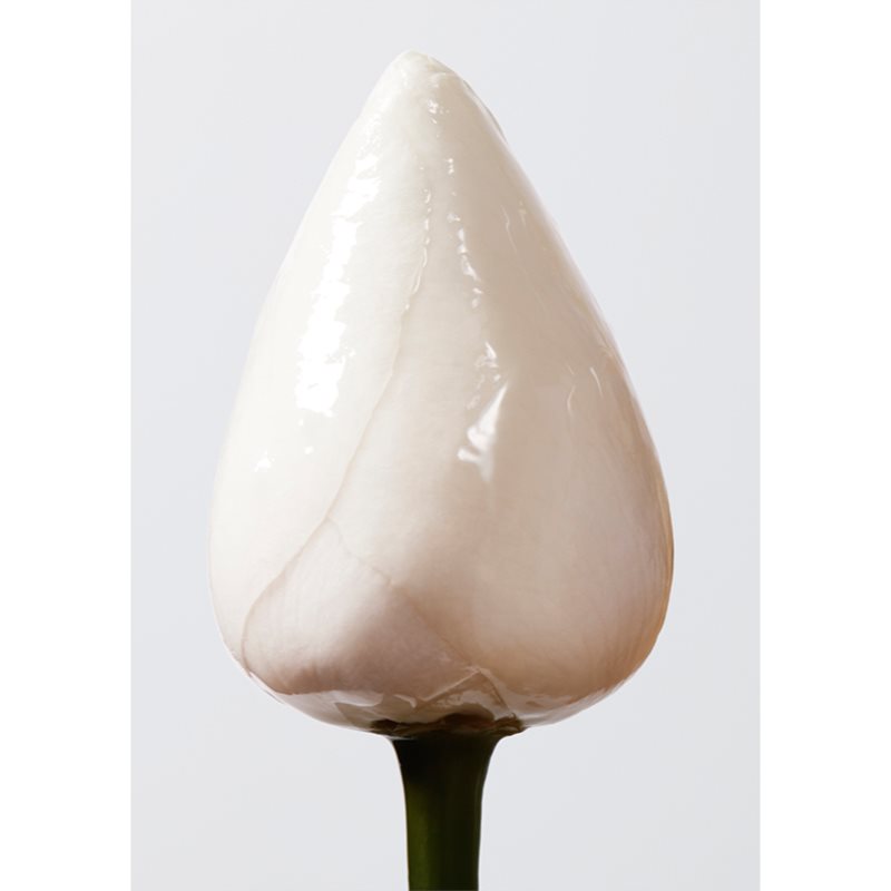 

Shu Uemura Essence Absolue поживна зволожуюча олійка для волосся