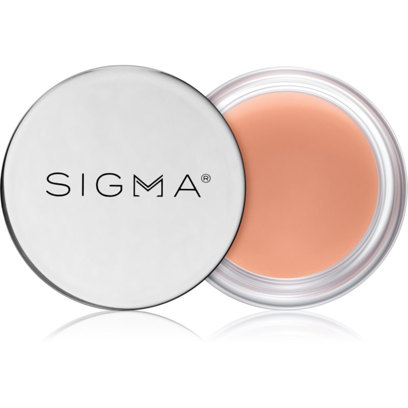 Sigma Beauty Hydro Melt Lip Mask Feuchtigkeitsspendende Lippenkur mit Hyaluronsäure Farbton Hush 9,6 g