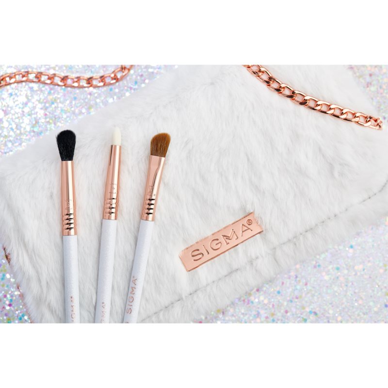 Sigma Beauty Brush Set Magical Eye Brush Set With A Pouch
