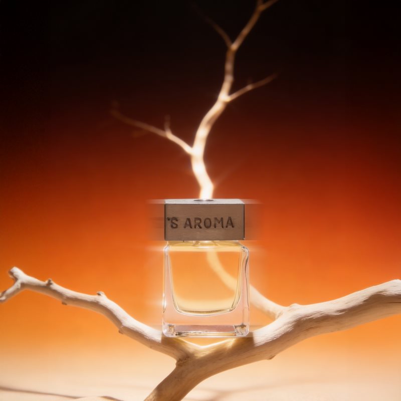  Sister's Aroma Amber Aroma Diffuser 110 Ml 