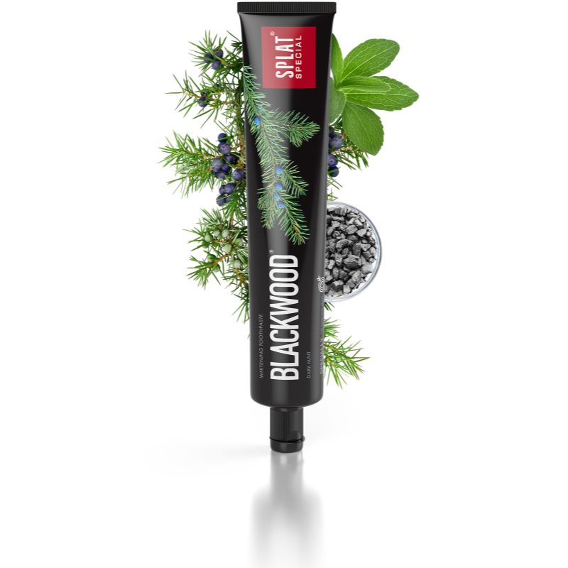 Splat Special Blackwood Whitening Toothpaste Flavour Dark Mint 75 Ml