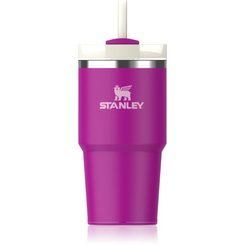 Stanley Quencher H2.O FlowState™ Tumbler nerezový tumbler s brčkem malý Violet Blossom 600 ml