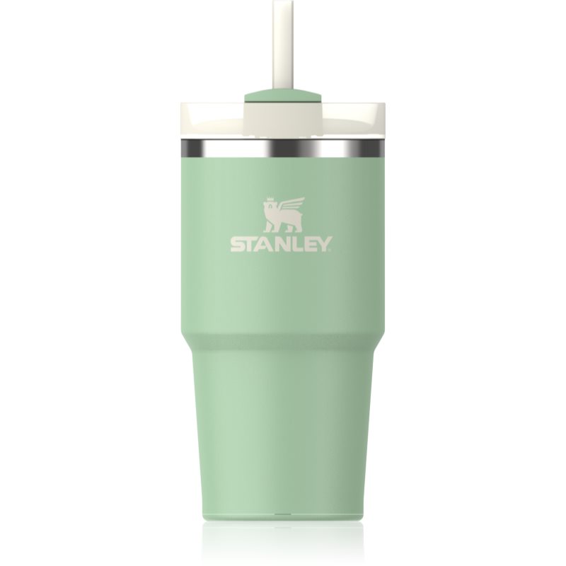Stanley Quencher H2.O FlowState™ Tumbler nerezový tumbler s brčkem malý Pistachio 600 ml