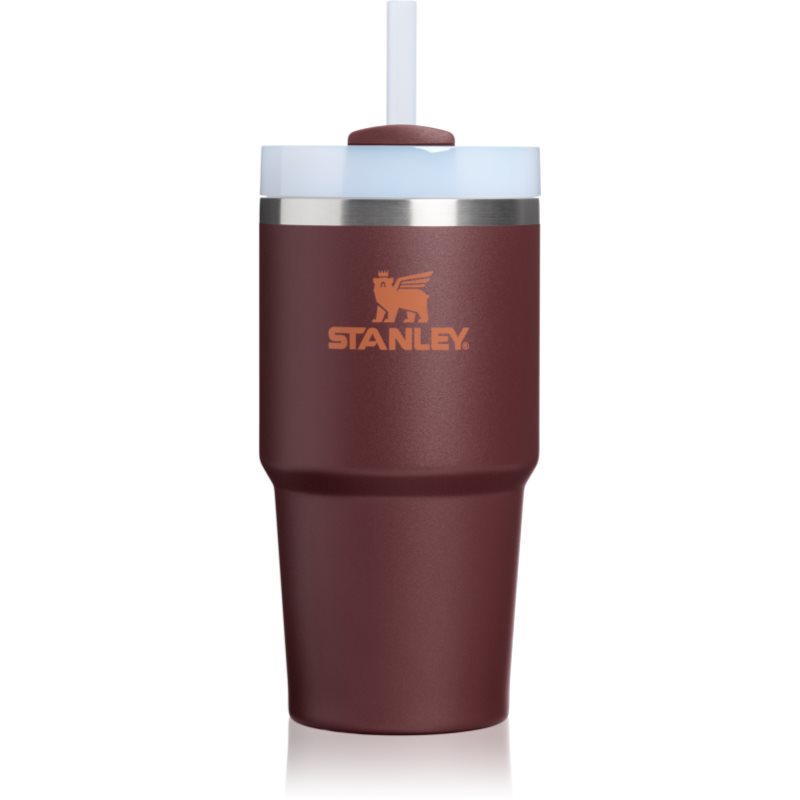 Stanley Quencher H2.O FlowState™ Tumbler tumbler z nehrdzavejúcej ocele s rúrkou malý coffee 1 ks