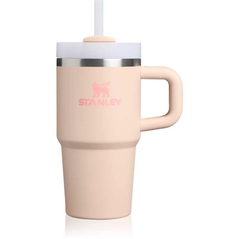 Stanley Quencher H2.O FlowState™ Tumbler tumbler z nehrdzavejúcej ocele s rúrkou malý champagne 1 ks