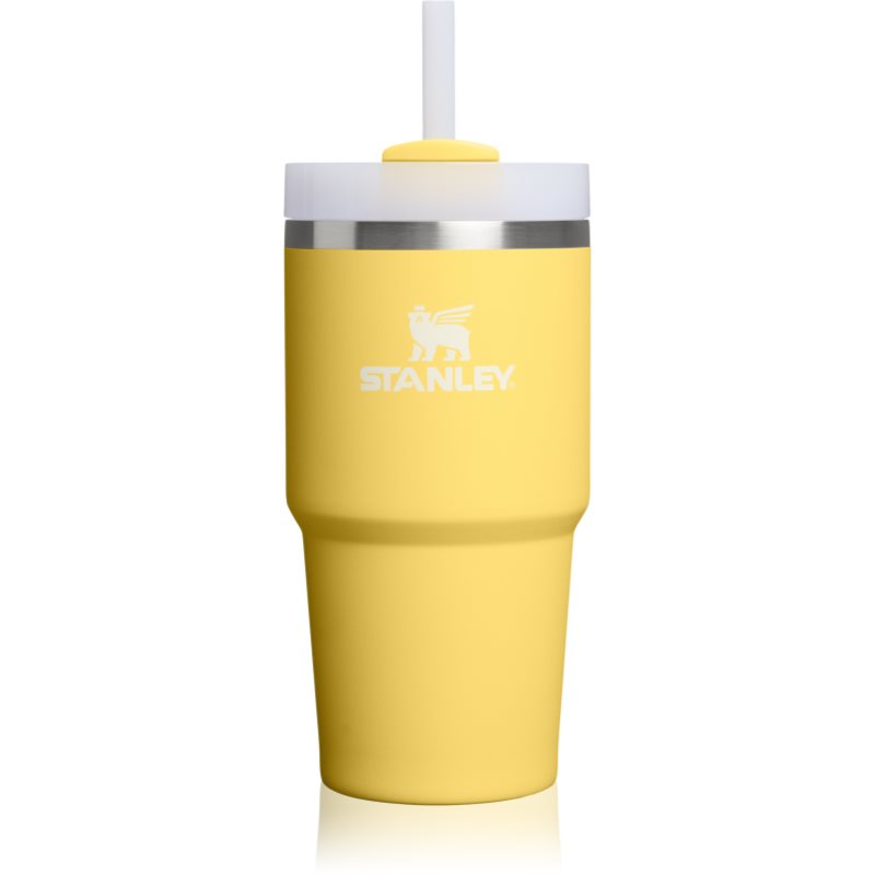 Stanley Quencher H2.O FlowState™ Tumbler nerezový tumbler s brčkem malý Daffodil 590 ml